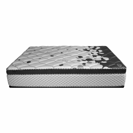 BackSupport Mattress 1